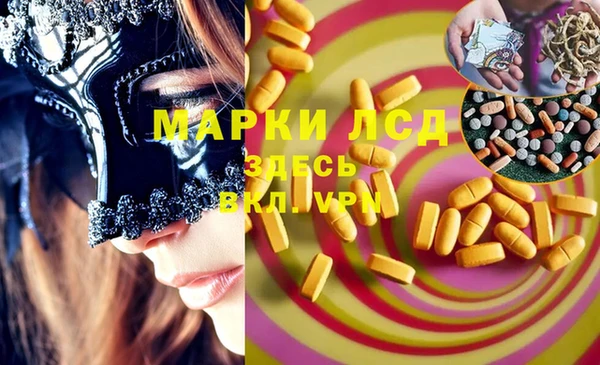 индика Горняк
