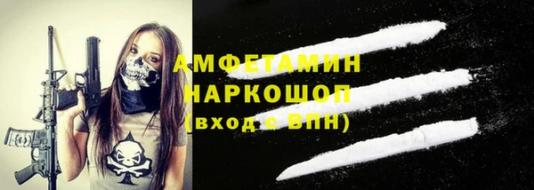 индика Горняк
