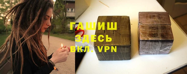 индика Горняк