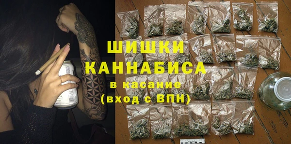 индика Горняк