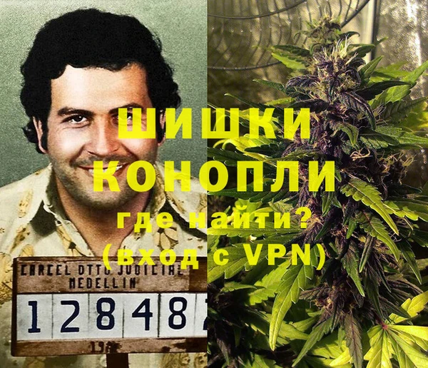 Альфа ПВП Горно-Алтайск