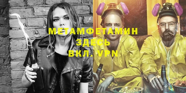 индика Горняк