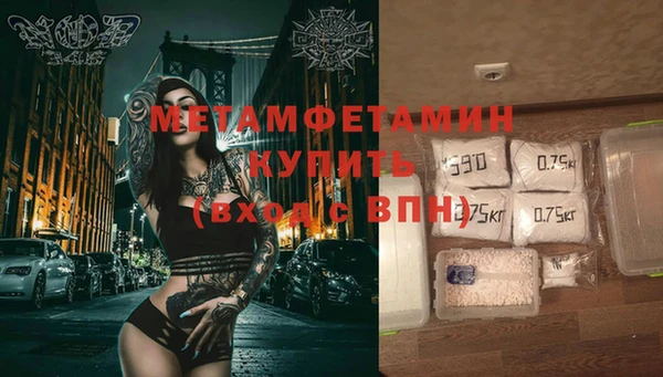 индика Горняк