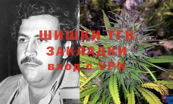 индика Горняк
