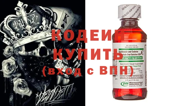 индика Горняк