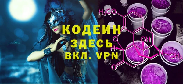 индика Горняк