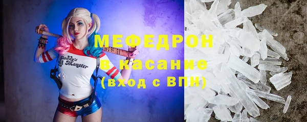 индика Горняк