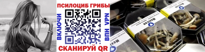 Псилоцибиновые грибы мухоморы  Купить закладки  Кораблино 